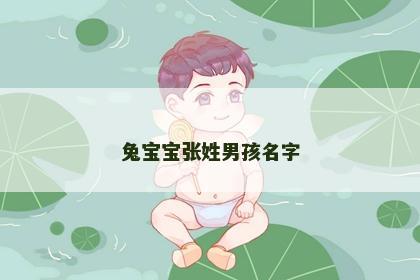 兔宝宝张姓男孩名字
