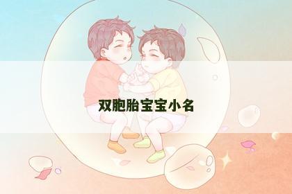 双胞胎宝宝小名