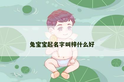 兔宝宝起名字叫梓什么好