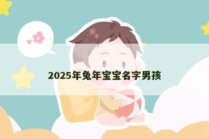 2025年兔年宝宝名字男孩