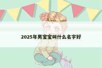 2025年男宝宝叫什么名字好