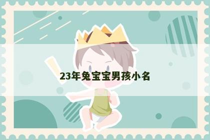 23年兔宝宝男孩小名