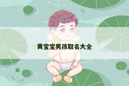 黄宝宝男孩取名大全