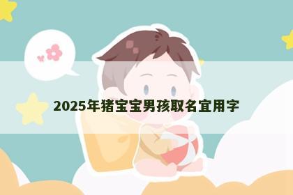 2025年猪宝宝男孩取名宜用字