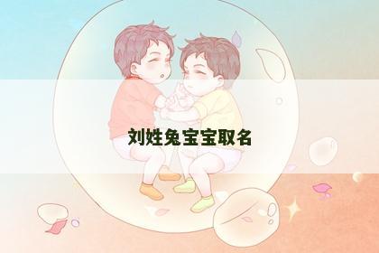 刘姓兔宝宝取名