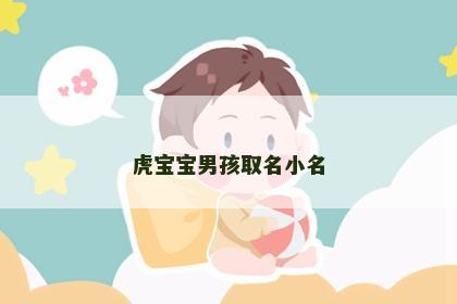 虎宝宝男孩取名小名