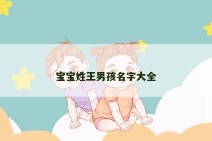 宝宝姓王男孩名字大全