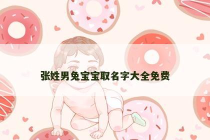 张姓男兔宝宝取名字大全免费