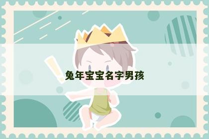 兔年宝宝名字男孩