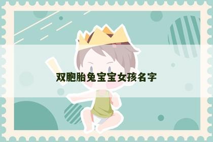 双胞胎兔宝宝女孩名字