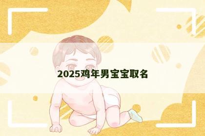 2025鸡年男宝宝取名