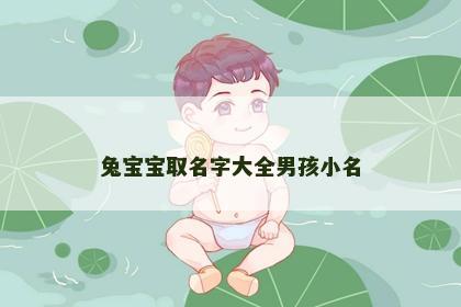 兔宝宝取名字大全男孩小名