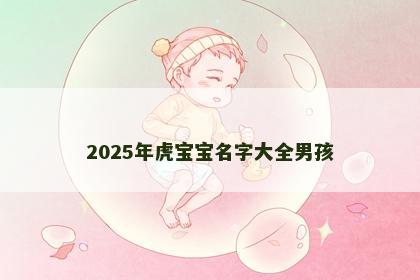 2025年虎宝宝名字大全男孩